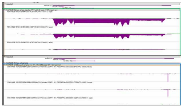 lncRNA 유전자 발현 양 확인 예시 (위):RNA-seq (아래): CAGE-seq