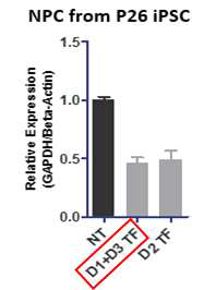 Transfection 횟수 최적화 실험 결과