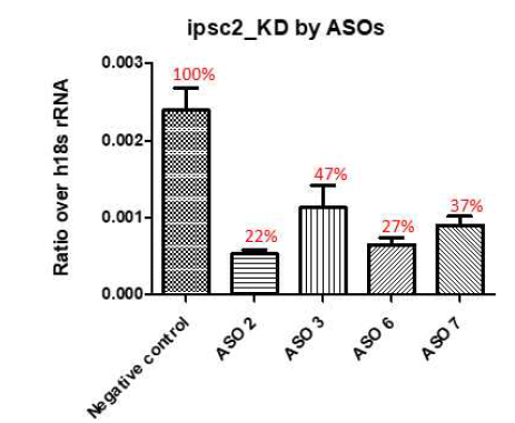 hiPSC-특이적 lncRNA (ipsc2)의 knockdown 효율