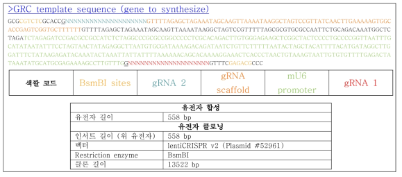 유전자 합성과 클로닝에 대한 예시