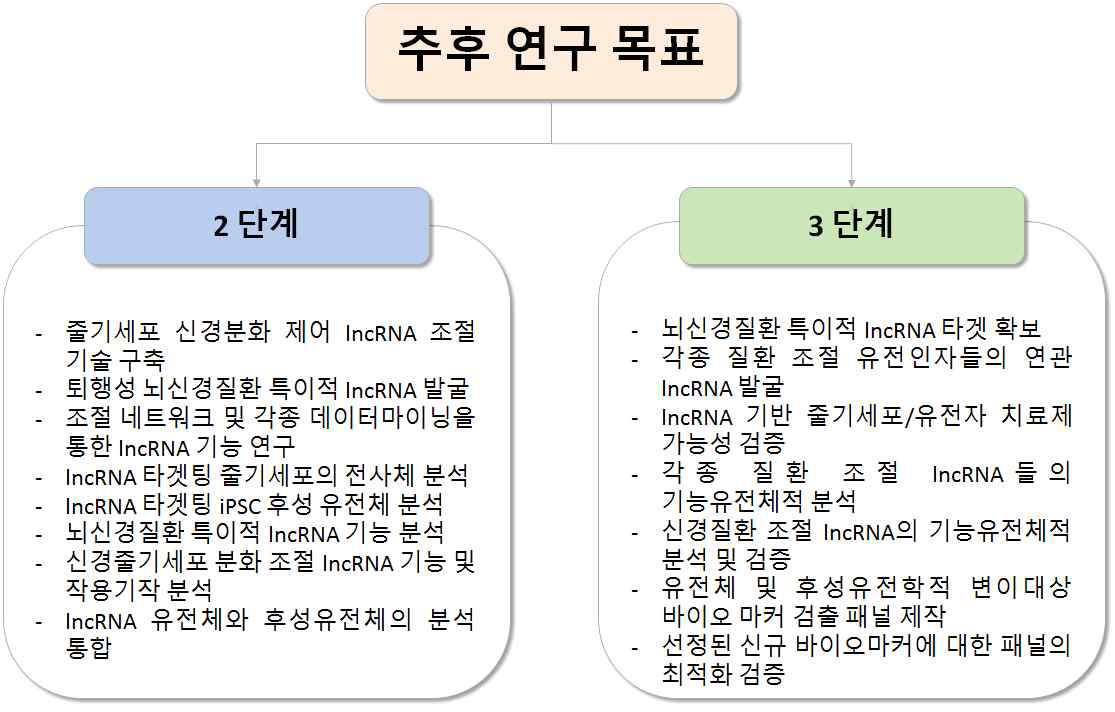 그림 줄기세포의 신경분화 관련 lncRNA에 대한 추후 단계별 연구 목표