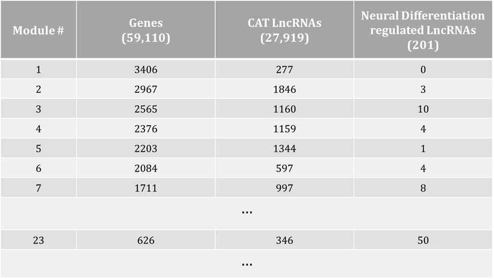 Co-expression module 에 포함되는 gene 및 lncRNA. 또한 Neural Differentiation 을 조절하는 것으로 기대되는 lncRNA의 개수