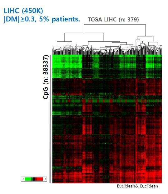 DNA methylation 변이가 나타나는 CpG site에 대한 hierarchical clustering 결과 (Euclidean clustering)