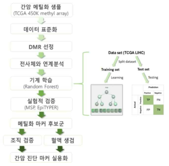 DNA methylation 분석 방법의 모식도