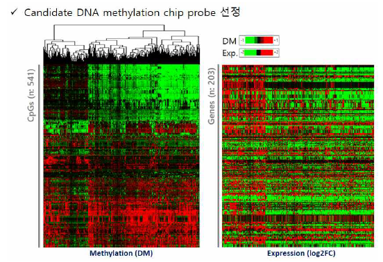 DNA methylation 변이가 나타나는 CpG site에 대한 hierarchical clustering (City-block clustering) 결과