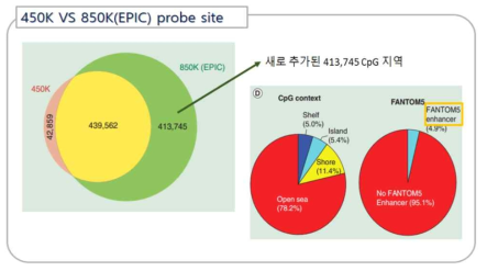 Illumina 450K bead chip과 Illumina 850K EPIC chip간의 비교