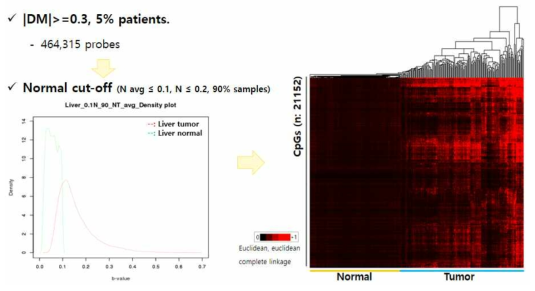 간암 환자에서 과 메틸화되며 혈액 생검이 용이한 메틸화 변이의 밀도 그림(왼쪽)과 heatmap(오른쪽)