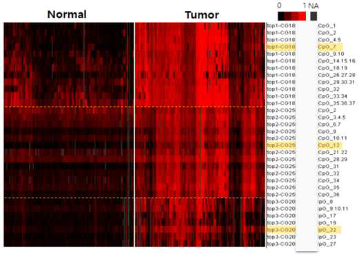 기계학습으로 선별한 상위 3개 간암 진단 마커에 대해 정상 샘플과 간암 샘플에서의 EpiTYPER 결과. (X축: 환자, Y축: 타겟과 타겟 전후 지역. 노란박스로 표시된 타겟과 표 22에 표시된 CpG site의 메틸화 정도의 heatmap)