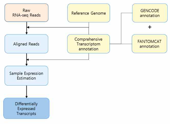 자체 전사체 (lncRNA 포함) 분석 pipeline