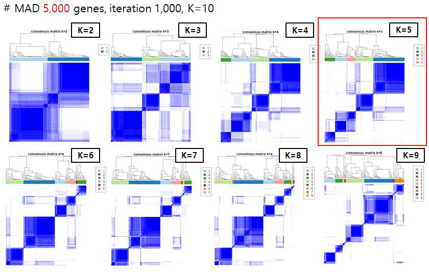 MAD 5,000개의 유전자들에 대한 consensus clustering (iteration 1,000, K=10)