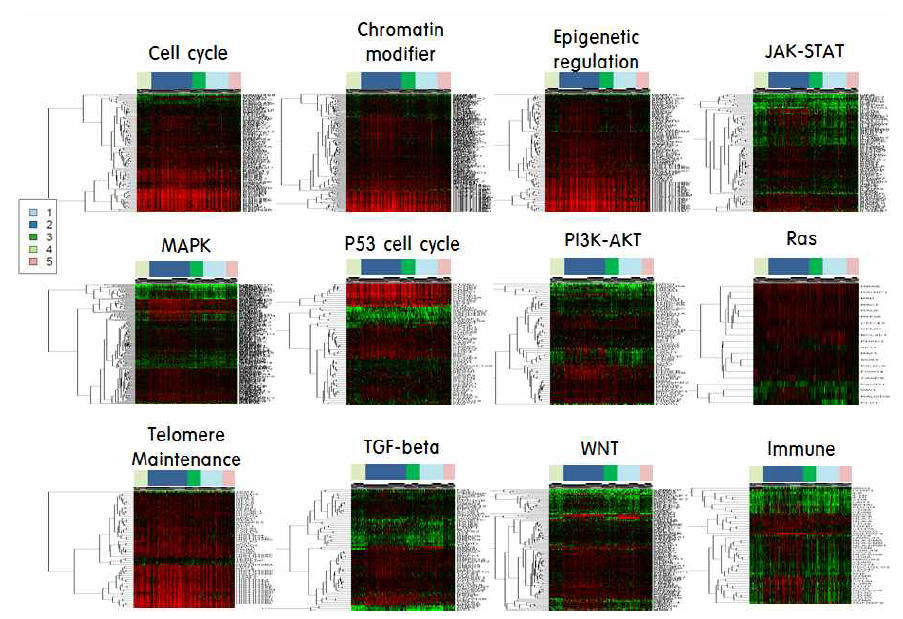 5개 간암 특이적인 그룹에 대한 pathway 유전자 발현량 분석