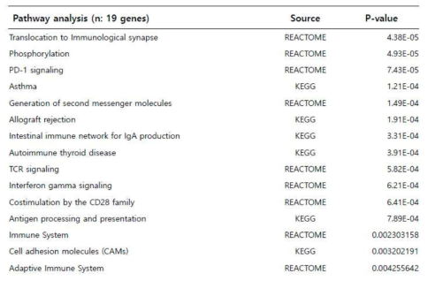 pathway analysis를 하면 다음과 같은 19개의 관련 pathway 로 줄일 수 있음