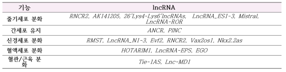 세포 특이적 LncRNA의 역할