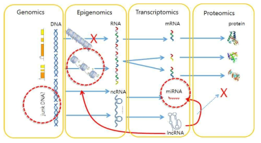 lncRNAomics 연구와 다른 유전체 연구의 상관관계