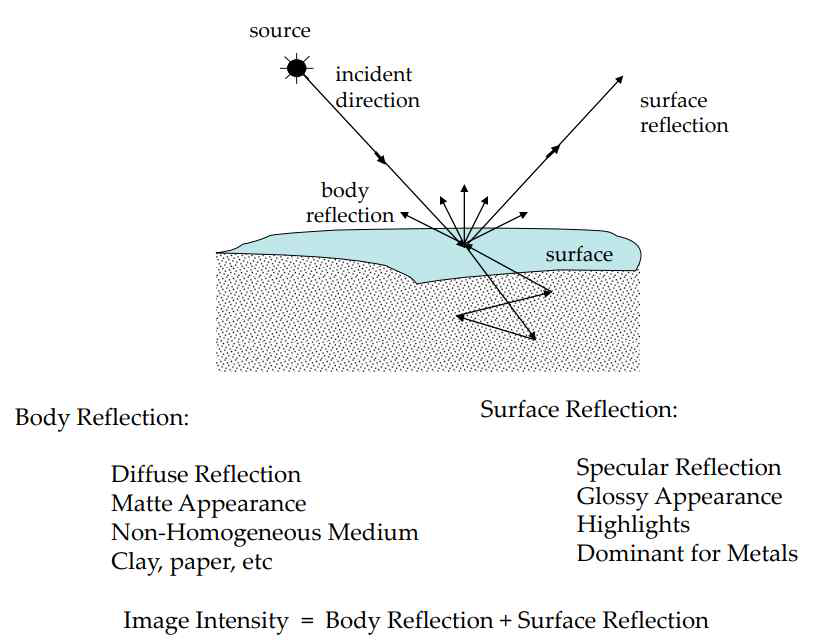 Mechanisms of Surface Reflection