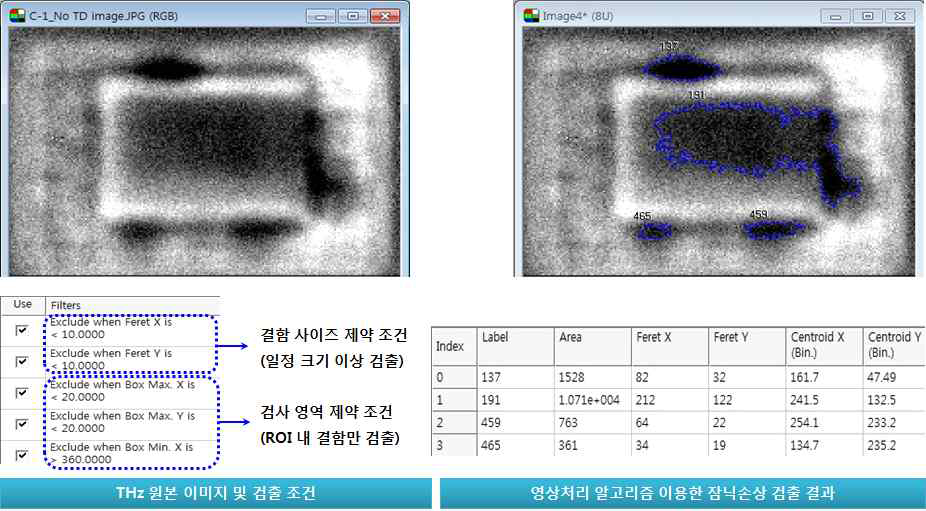 개발된 잠닉손상 검출 알고리즘을 통한 결함 검출 결과