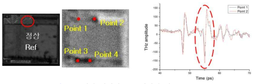 정상 시편의 THz 이미지 및 waveform
