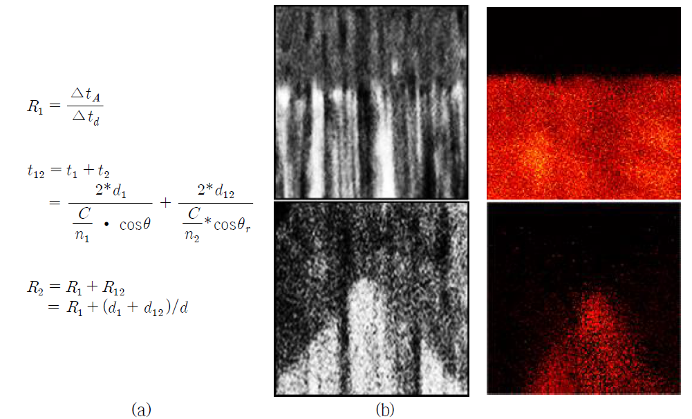 (a)R1 및 R2 에 대한 수식 ,(b) 기존 영상화 결과, (c) 절대시간응답을 통한 영상화 결과 