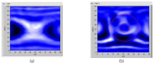 (a) Silicon wafer 영상화 결과 및 (b) Silicon wafer 내 금속 물질 시편 영상화 결과