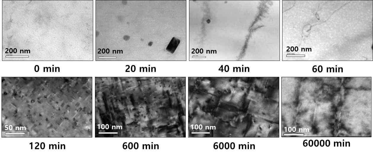 Al6061 열화시편 TEM 이미지