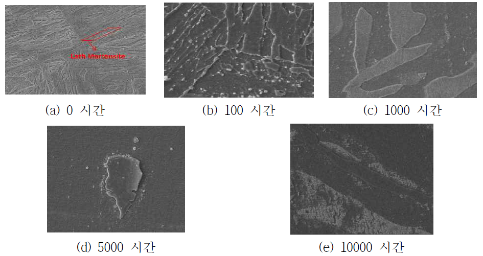 SA508 열처리 시간에 따른 표면 미세구조(SEM)