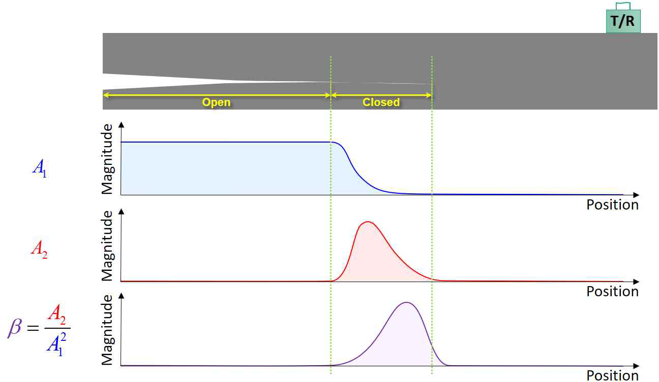 접촉음향비선형성(CAN) 효과에 따른 선형/비선형 초음파 특성