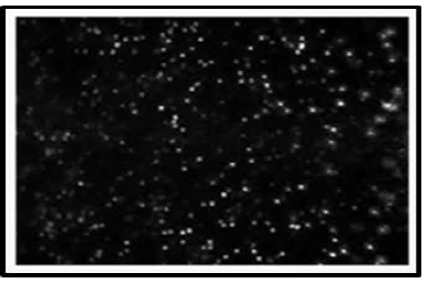 Nanoparticles analysis