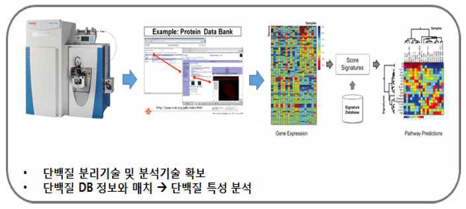 세포/동물모델의 엑소좀 특성분석 전략