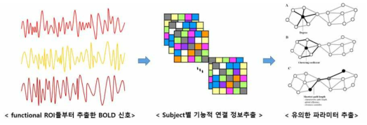 기능적 영상에서의 뇌 기능적 신호를 기반한 네트워크 구성 및 분석 방법