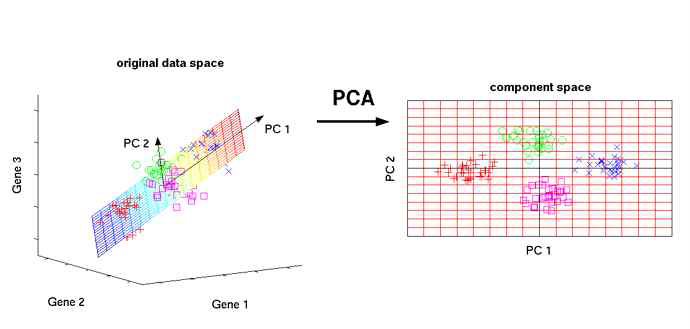 PCA 개념도