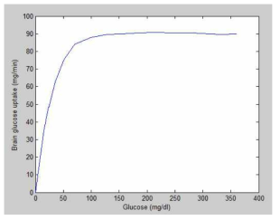 뇌에서 포도당 농도에 따른 분당 포도당 사용량