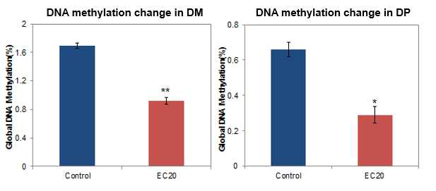 물벼룩 종간 CMIT/MIT의 DNA methylation에 대한 영향 비교