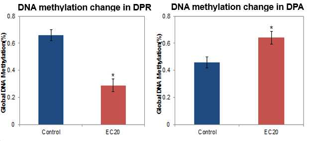 CMIT/MIT의 물벼룩 종내 DNA methylation에 대한 영향 비교