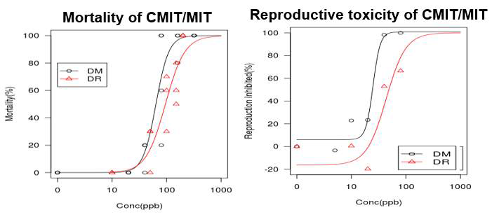물벼룩 종간 CMIT/MIT의 급성 및 만성독성 비교