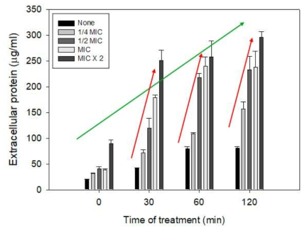 MDRSA 에 EODA 처리 후 세포외 단백질의 농도에 미치는 영향 분석