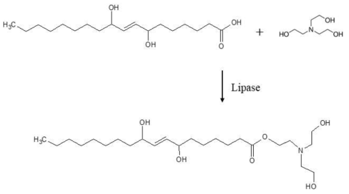 DOD의 triethanolamine 유도체 생성과정과 생성물 구조