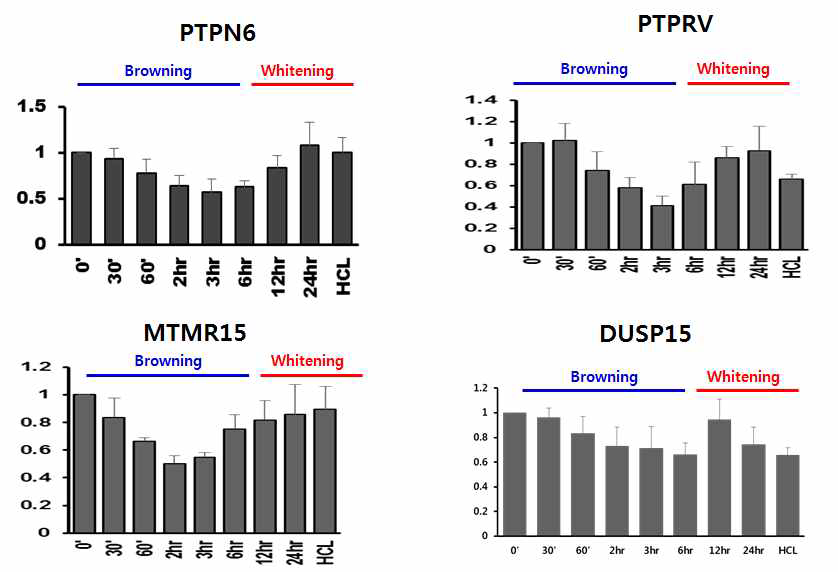 세포수준에서 Browning & Whitening과정동안 특이적인 증감을 나타낸 PTPs
