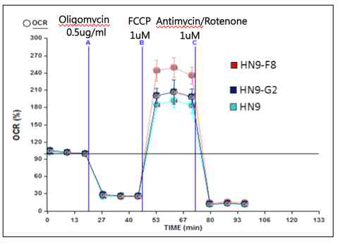 HN9 단세포클론들의 미토콘드리아 대사 활성 비교