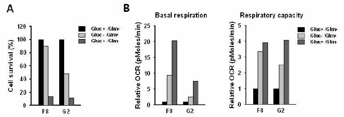 글루코즈 또는 글루타민 결핍에 따른 두 단세포클론의 생존율 (A)과 OCR (O2 consumption rate)을 측정을 통한 에너지대사 분석(B)