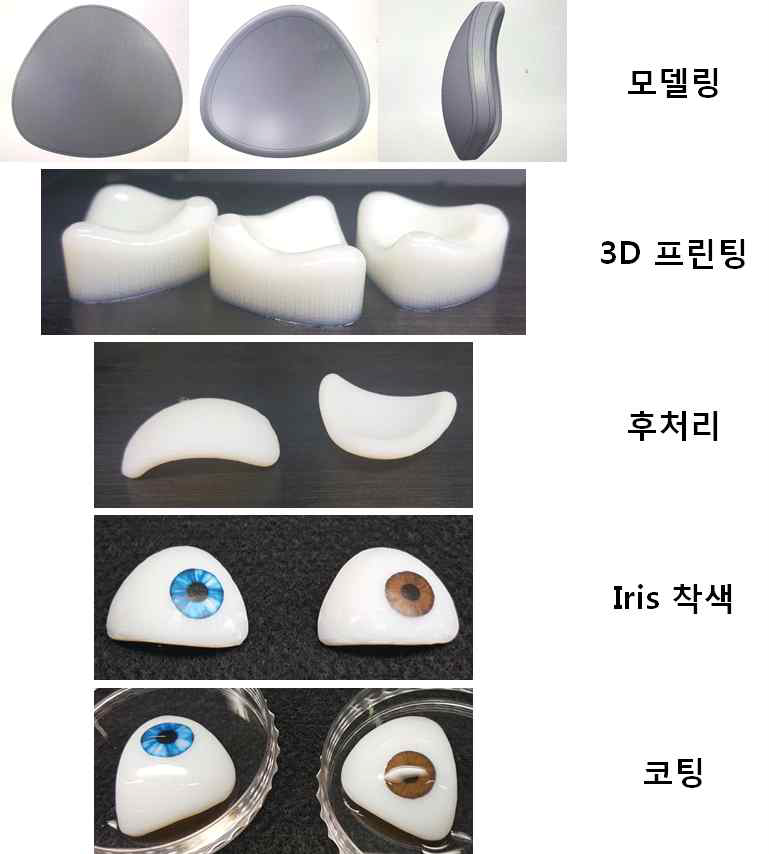 Polyjet 3D printer를 이용한 Resin 의안 연구