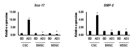 hCSCs의 심근재생 유도 mRNA 발현 특성 항염증능력 평가 (*, p < 0.01 compared to bone marrow stroma cells (BMSC) or muscle derived stem cell (MDSC))
