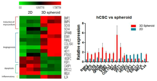 hCSC 미세구의 global transcriptome 특성