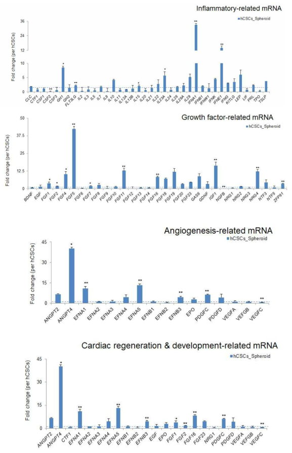 hCSC 미세구의 cytokine, 신생혈관 유도, 심근재생, 성장인자 관련 mRNAs 발현 증진
