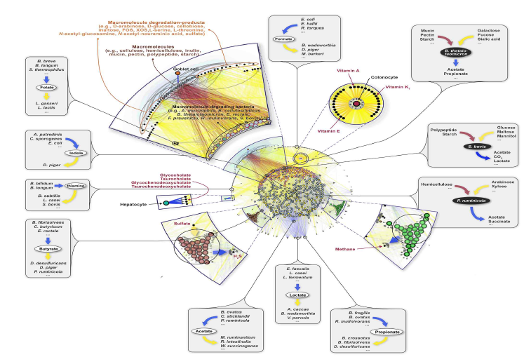 미생물 군집 네트워크의 대사활동 지형도