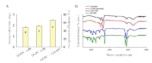 A) 인지질 조성에 따른 제인 함량 비교 B) 제인 가루, Z-NP, PC-NP, Z/PC-NP의 FTIR 스펙트럼