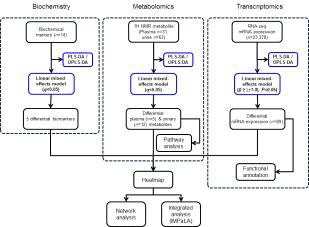 분석 순서도(Flowchart)