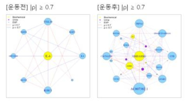 운동을 통한 산화 및 염증 스트레스 부하 모델 적용 여부에 따른 복분자의 인체적용연구 결과