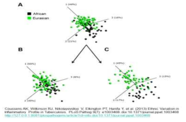 인종 (African vs. Eurasian) 간 변이의 예시 (예: Vit D binding protein 유전자형에 따른 염증반응의 차이)