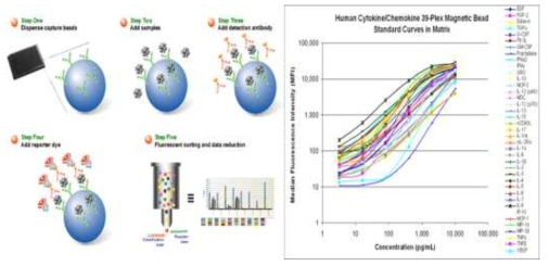 Proteome