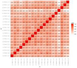 기저시점의 Correlation plot